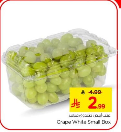 available at نستو in مملكة العربية السعودية, السعودية, سعودية - الخرج
