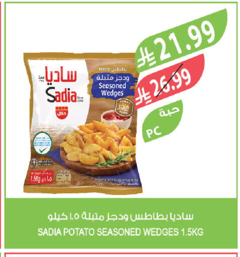 Potato available at Farm  in KSA, Saudi Arabia, Saudi - Al-Kharj