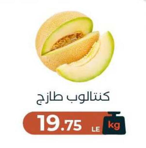 available at Arafa Market in Egypt - Cairo