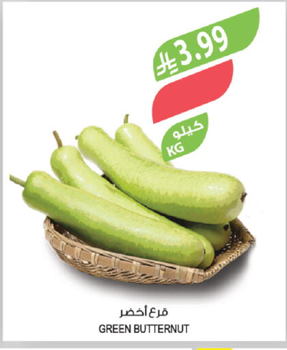 available at Farm  in KSA, Saudi Arabia, Saudi - Tabuk