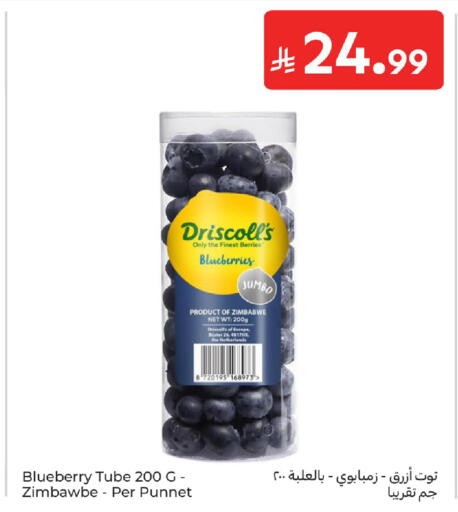 Blueberry BlueBerry from Zimbabwe Netherlands available at Carrefour in KSA, Saudi Arabia, Saudi - Jeddah