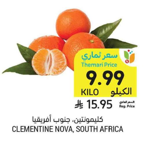 from South Africa available at Tamimi Market in KSA, Saudi Arabia, Saudi - Tabuk