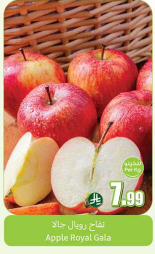 Apple available at Othaim Markets in KSA, Saudi Arabia, Saudi - Al-Kharj