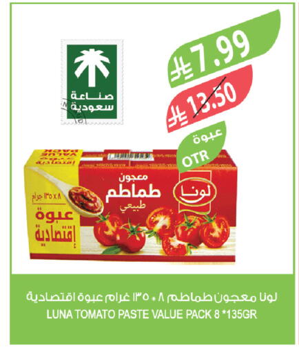 Tomato available at Farm  in KSA, Saudi Arabia, Saudi - Al-Kharj