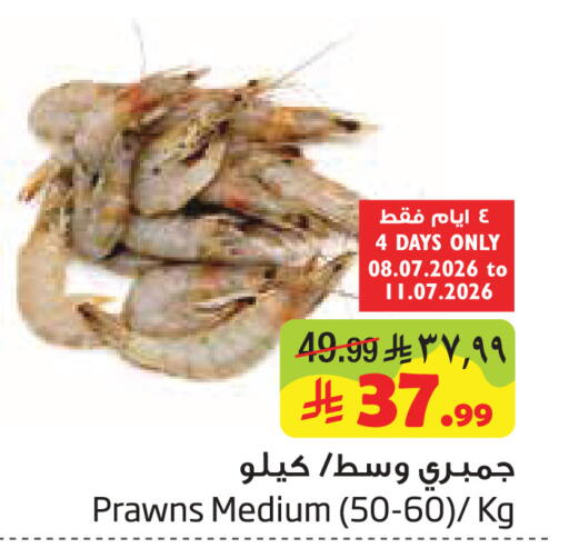 available at Layan Hyper in KSA, Saudi Arabia, Saudi - Al Khobar