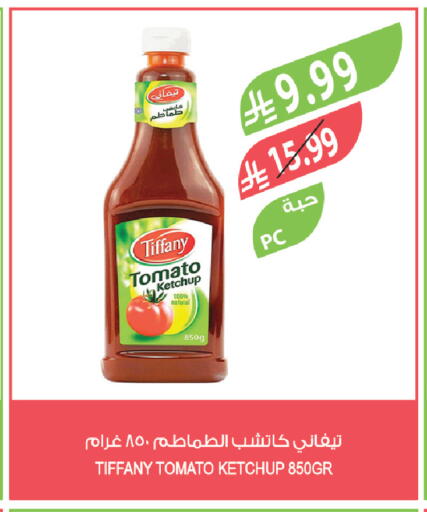Tomato available at Farm  in KSA, Saudi Arabia, Saudi - Tabuk