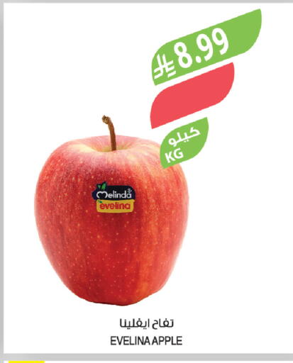Apple available at Farm  in KSA, Saudi Arabia, Saudi - Al-Kharj