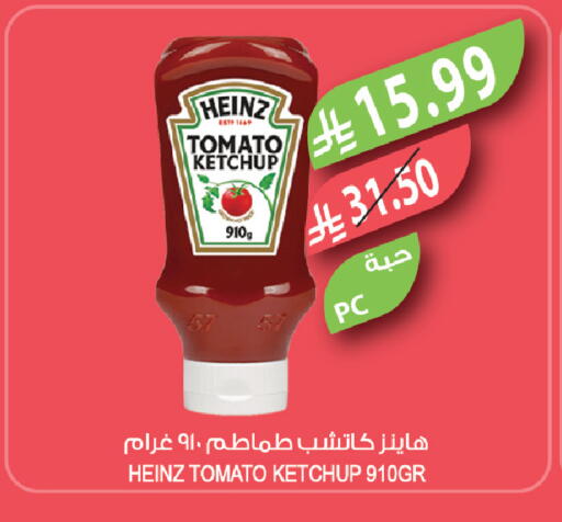 Tomato available at Farm  in KSA, Saudi Arabia, Saudi - Tabuk