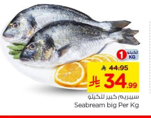available at نستو in مملكة العربية السعودية, السعودية, سعودية - الخرج