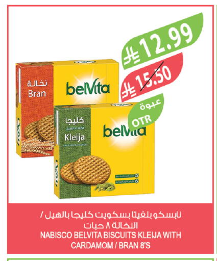 Cardamom available at Farm  in KSA, Saudi Arabia, Saudi - Tabuk