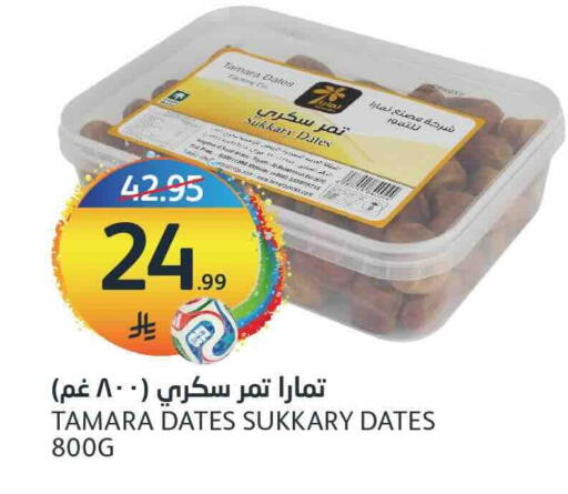 Date available at AlJazera Shopping Center in KSA, Saudi Arabia, Saudi - Riyadh
