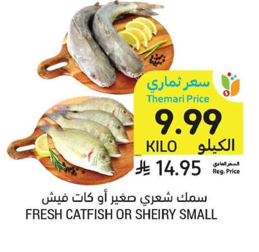 available at أسواق التميمي in مملكة العربية السعودية, السعودية, سعودية - جدة