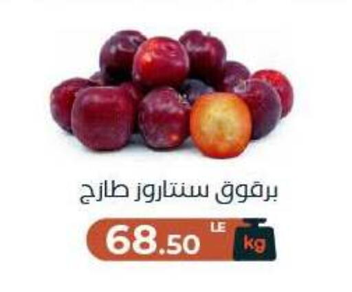 available at Arafa Market in Egypt - Cairo