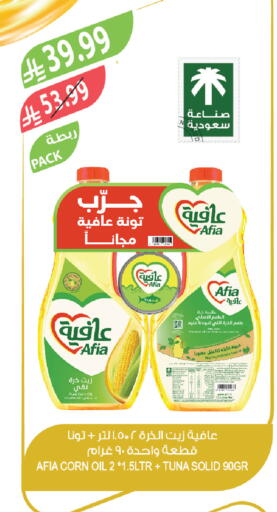 available at Farm  in KSA, Saudi Arabia, Saudi - Tabuk