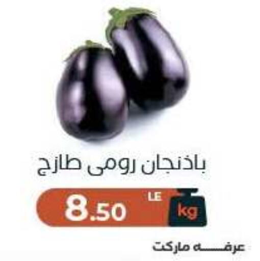available at Arafa Market in Egypt - Cairo