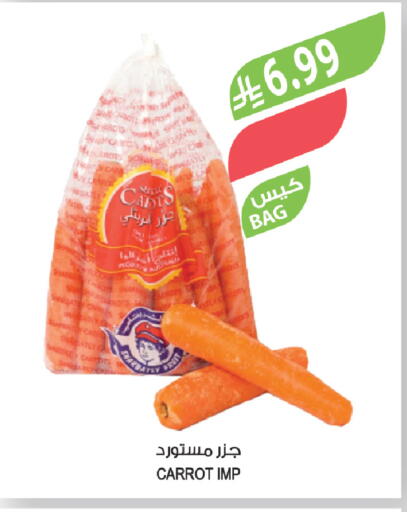 Carrot available at Farm  in KSA, Saudi Arabia, Saudi - Tabuk