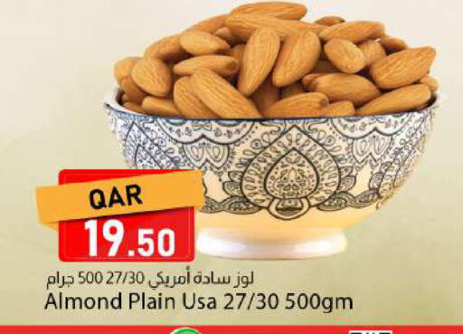 available at دانا ماركت in قطر - الشمال