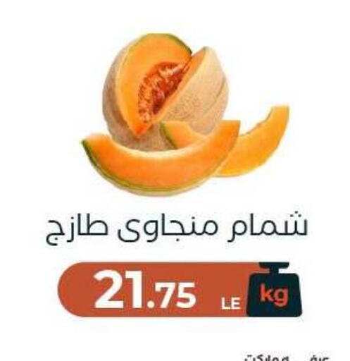 available at Arafa Market in Egypt - Cairo