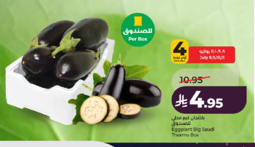 Eggplant from Saudi Arabia available at LULU Hypermarket in KSA, Saudi Arabia, Saudi - Jeddah