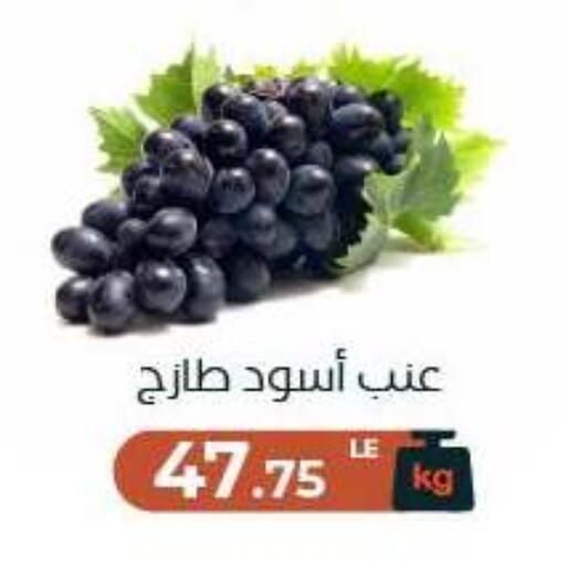 available at Arafa Market in Egypt - Cairo
