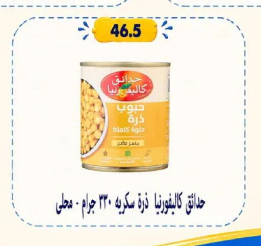 available at Hyper Samy Salama Sons in Egypt - Cairo