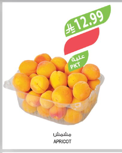 Apricot available at Farm  in KSA, Saudi Arabia, Saudi - Al-Kharj