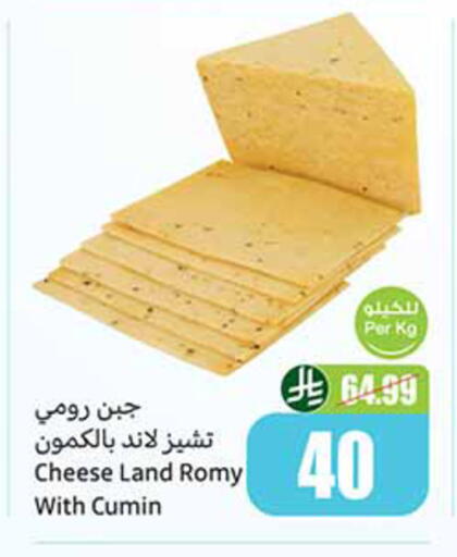 Cumin available at Othaim Markets in KSA, Saudi Arabia, Saudi - Al-Kharj