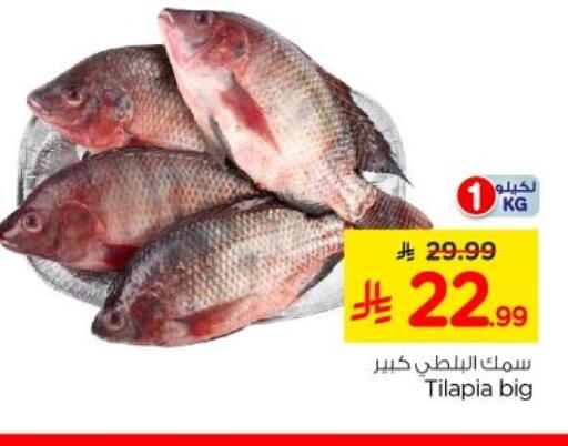 available at نستو in مملكة العربية السعودية, السعودية, سعودية - الخرج