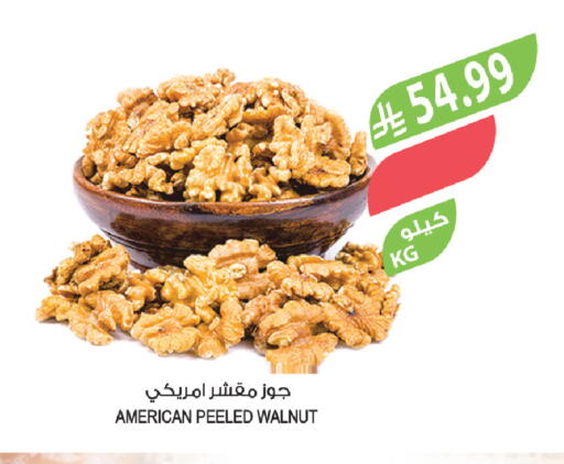 available at Farm  in KSA, Saudi Arabia, Saudi - Tabuk