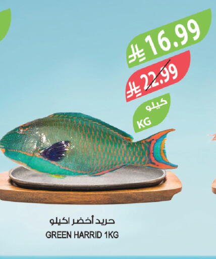 available at المزرعة in مملكة العربية السعودية, السعودية, سعودية - الخرج