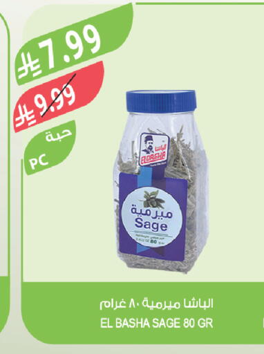 Sage available at Farm  in KSA, Saudi Arabia, Saudi - Al-Kharj