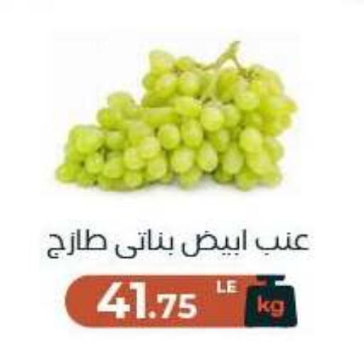 available at Arafa Market in Egypt - Cairo
