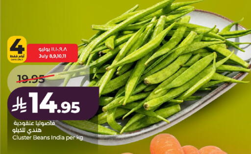 from India available at LULU Hypermarket in KSA, Saudi Arabia, Saudi - Al-Kharj