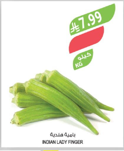 from India available at Farm  in KSA, Saudi Arabia, Saudi - Tabuk
