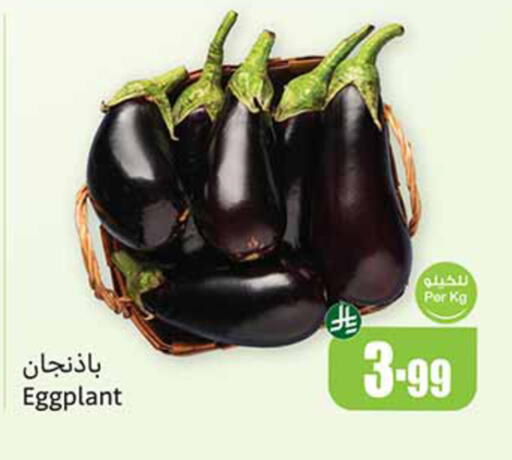 Eggplant available at Othaim Markets in KSA, Saudi Arabia, Saudi - Al-Kharj