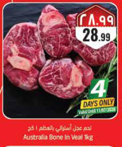 available at ستي فلاور in مملكة العربية السعودية, السعودية, سعودية - حائل‎