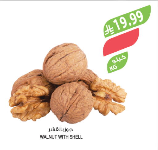 available at Farm  in KSA, Saudi Arabia, Saudi - Tabuk