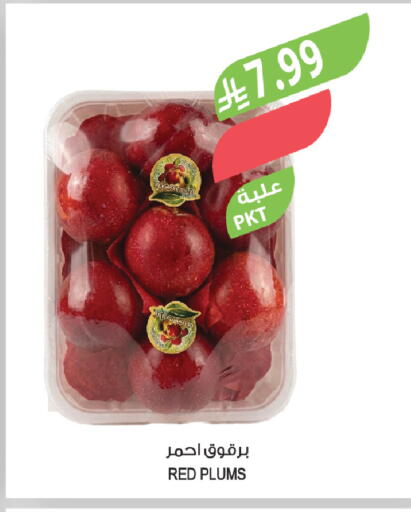 Plums available at Farm  in KSA, Saudi Arabia, Saudi - Al-Kharj