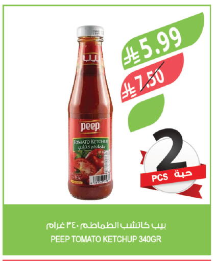 Tomato available at Farm  in KSA, Saudi Arabia, Saudi - Al-Kharj