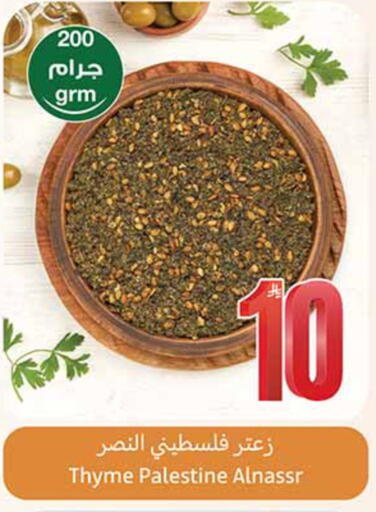 Thyme available at Othaim Markets in KSA, Saudi Arabia, Saudi - Al-Kharj