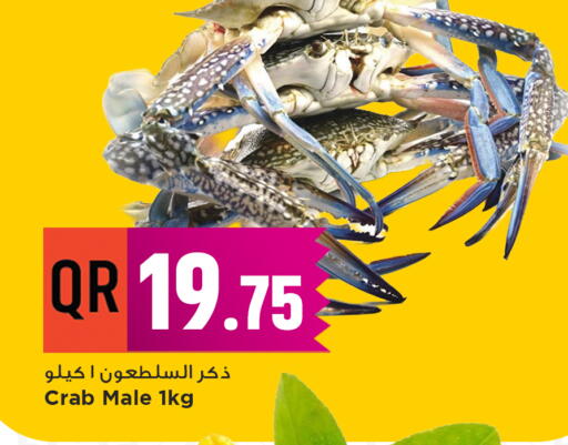 available at مرزا هايبرماركت in قطر - الشمال