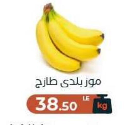 available at Arafa Market in Egypt - Cairo
