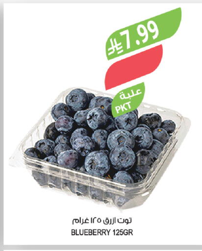 Blueberry BlueBerry available at Farm  in KSA, Saudi Arabia, Saudi - Tabuk