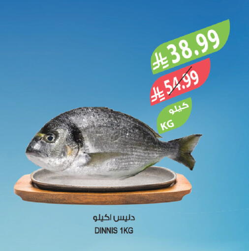 available at Farm  in KSA, Saudi Arabia, Saudi - Tabuk