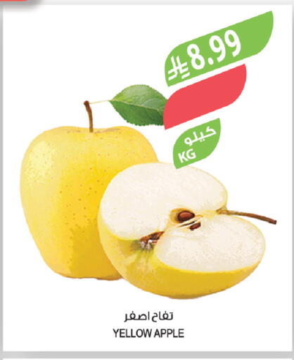 Apple available at Farm  in KSA, Saudi Arabia, Saudi - Tabuk