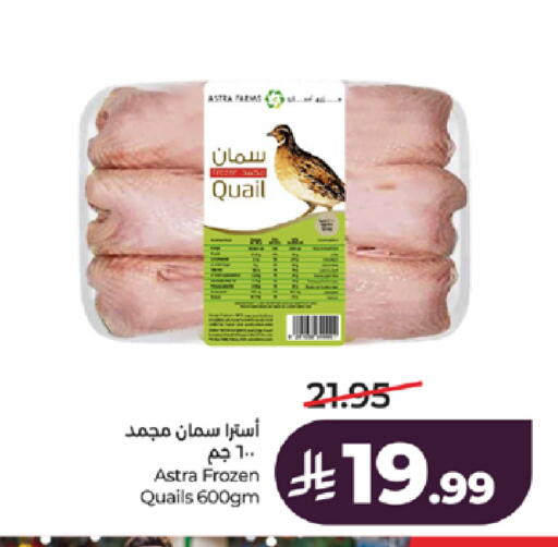 available at لولو هايبرماركت in مملكة العربية السعودية, السعودية, سعودية - تبوك