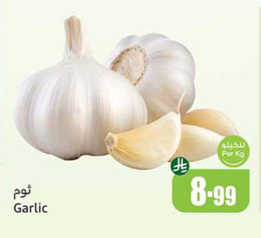 Garlic available at Othaim Markets in KSA, Saudi Arabia, Saudi - Al-Kharj