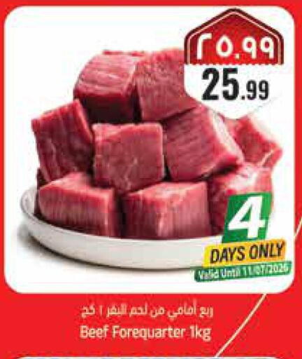 available at ستي فلاور in مملكة العربية السعودية, السعودية, سعودية - حائل‎
