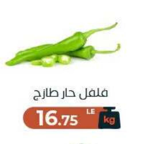 available at Arafa Market in Egypt - Cairo