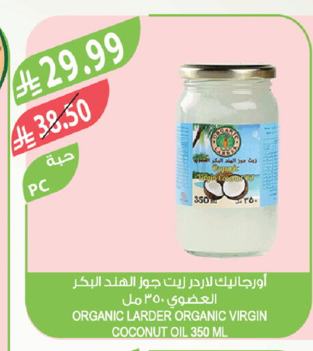 Coconut available at Farm  in KSA, Saudi Arabia, Saudi - Tabuk